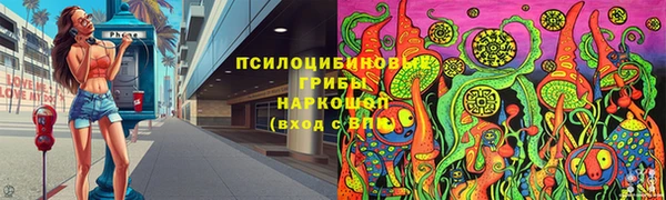 spice Арсеньев
