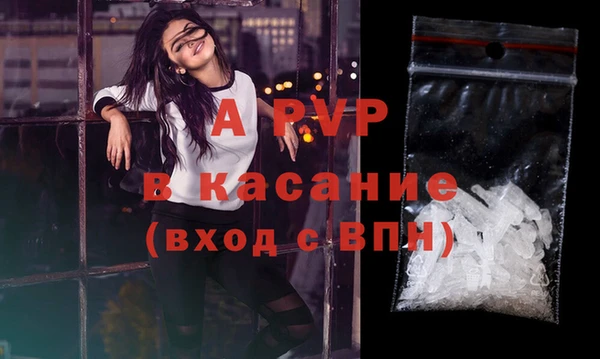 spice Арсеньев